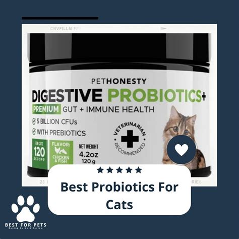 12 Best Probiotics For Cats - BestForPets.org