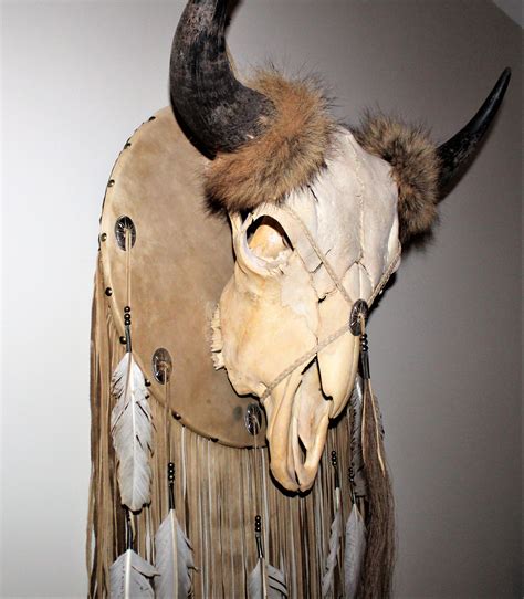 Real American Buffalo Skull, South Dakota Buffalo, Bison Skull