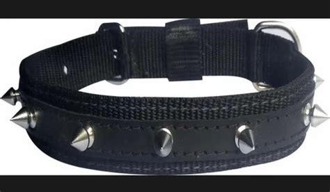 DOG collar with spike at Rs 75 | Dog Collars in Kanpur | ID: 26858915612