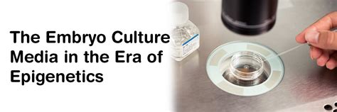 The embryo culture media in the era of epigenetics | Medtalks