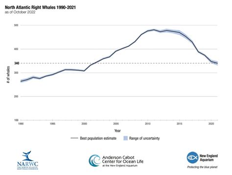 Facing Human-Caused Threats, Right Whales’ Downward Trend Continues - New England Aquarium