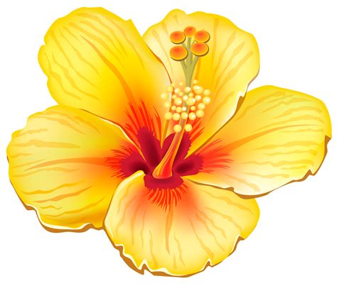 Flower Clip art - Tropical Flowers Cliparts png download - 1322*1125 - Free Transparent Flower ...