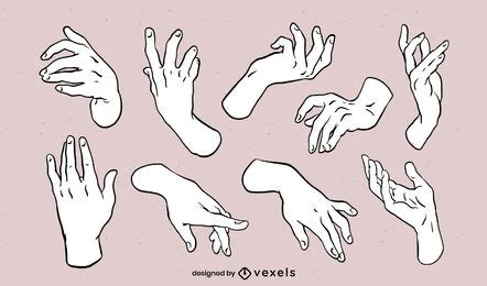 Hands Posing For Anatomy Drawing Set Vector Download