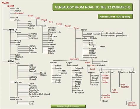 Bible Genealogy Of Jesus