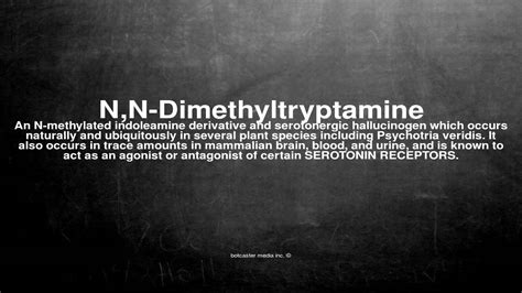 Medical vocabulary: What does N,N-Dimethyltryptamine mean - YouTube