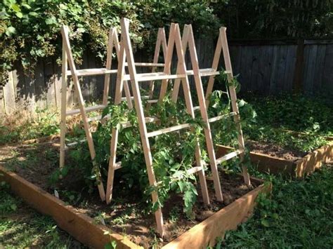 34 Best tomato support ideas for better yield | My desired home | Diy ...