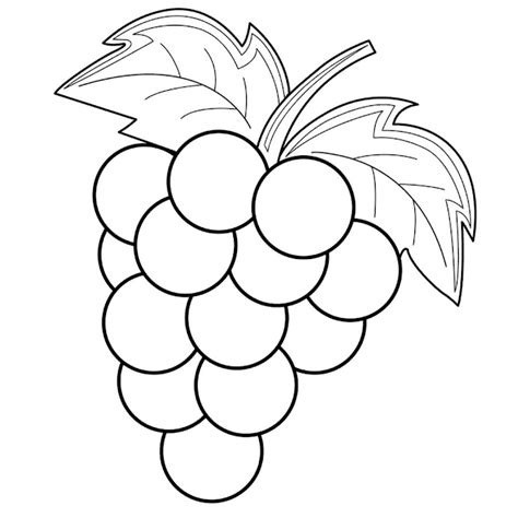 Gambar mewarnai buah anggur | Fruit coloring pages, Free coloring pages, Animal coloring pages