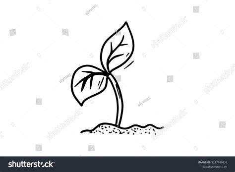 Sprout Drawn Black Outline Vector Graphics Stock Vector (Royalty Free ...