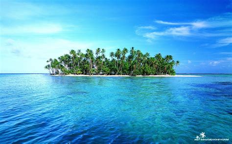 island, Palm trees Wallpapers HD / Desktop and Mobile Backgrounds