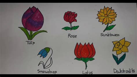 Flowers Drawing Images With Names | Best Flower Site