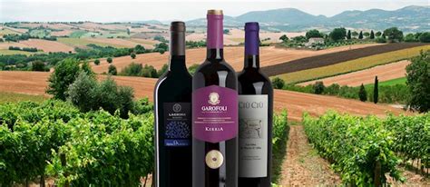 Marchigiano Red Wines: 6 Red Wine Types in Marche | TasteAtlas