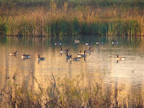 Bike & Hiking Trails | Golf Course | Recreation | Village of Orangeville IL — Village of Orangeville