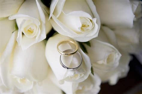 rings, wedding, dress, wedding rings, married, love | Pikist