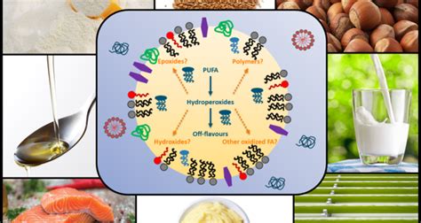 Food lipids - WUR