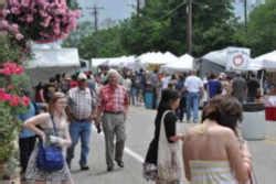 Texas State Bluebonnet Festival