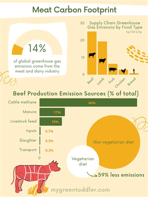 The Environmental Impact of Meat Production (It's big!)