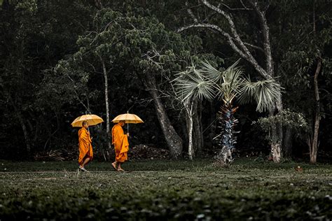 Here Are The Winners Of 2018 Sony World Photography National Awards | DeMilked