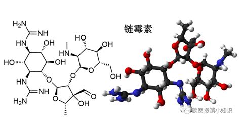 链霉素与结核病 - 知乎