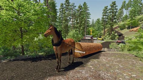 Horse for forestry FS22 - KingMods