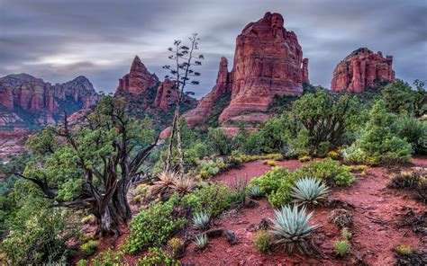 Download Arizona Sedona Nature Canyon HD Wallpaper by Michael Wilson