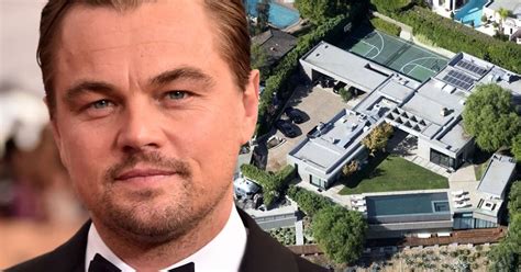 Why Does Leonardo DiCaprio Own 4 Mansions Right Next To Each Other? The ...