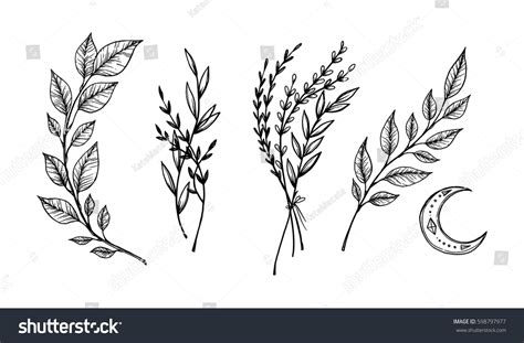 Hand Sketched Vector Vintage Elements Laurels Stock Vector (Royalty Free) 598797977 | Shutterstock