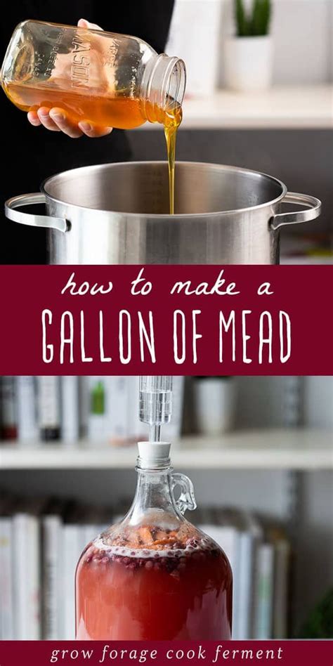 How to Make a Gallon of Mead: A Simple Mead Recipe | Recipe | Mead ...