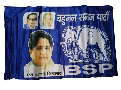 Blue (base Color) Polyester BSP Election Flag, 15x22 Inch (lxw) at Rs 10/piece in New Delhi