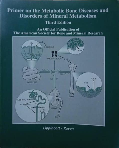 PRIMER ON THE METABOLIC BONE DISEASES AND DISORDERS OF MINERAL ...