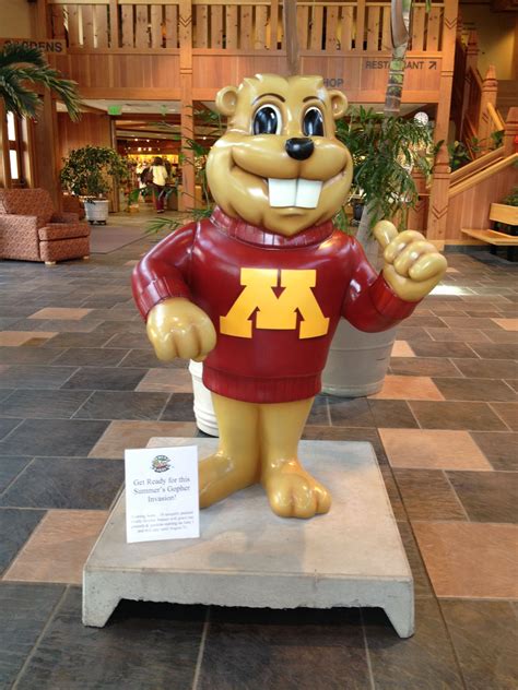 Goldy Gopher, University of Minnesota mascot. He is gracing the Oswald ...