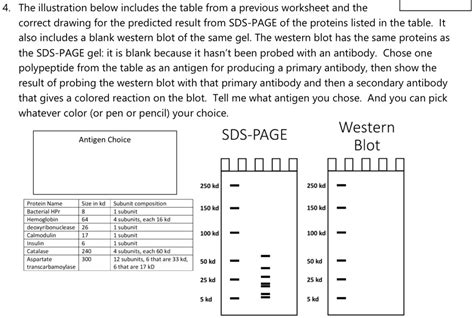 SOLVED: 4. The illustration below includes the table from a previous worksheet and the correct ...