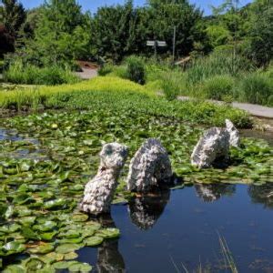 Themed Gardens at the Oregon Garden, Silverton, Oregon