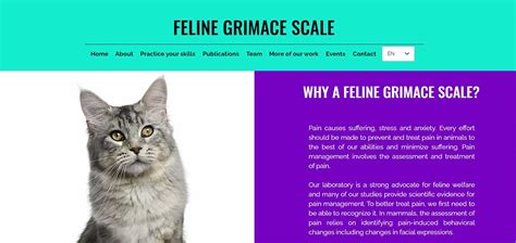 Feline Grimace Scale Chart