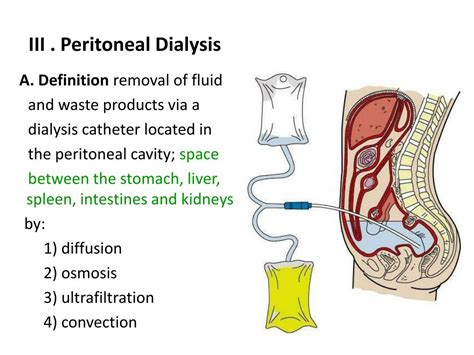 PPT - Peritoneal Dialysis PowerPoint Presentation, free download - ID ...