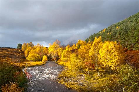 Glen Affric National Scenic Area | Natureflip