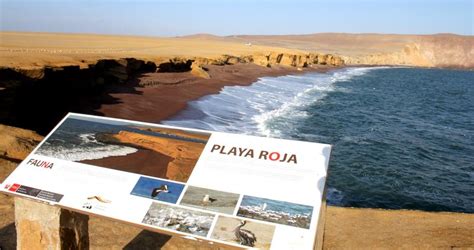 Peru Tours: Paracas National Reserve Tour - Paracas