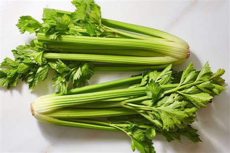 What Is Celery?