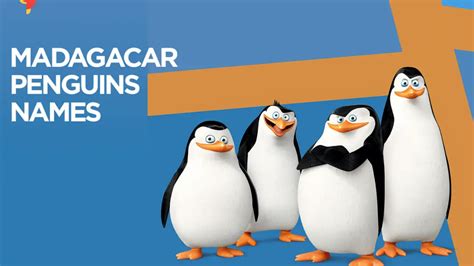 Madagascar Penguins Names [All You Need To Know]