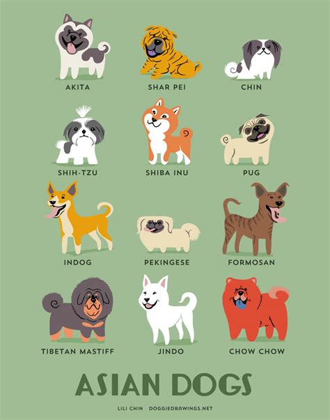 These Illustrations Show The Origins Of Dog Breeds In The Cutest Way Possible