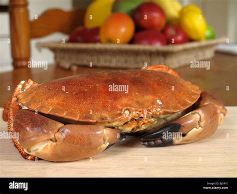 Cooked Cromer Crab Stock Photo - Alamy