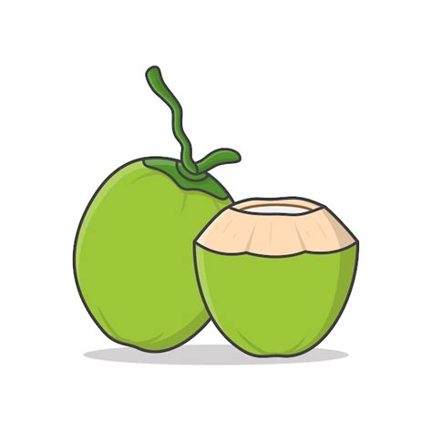 Coconut Cartoon Images