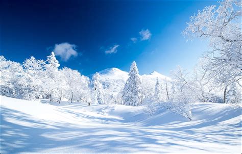 Enchanting winter scenes from Russia’s largest island - Sakhalin