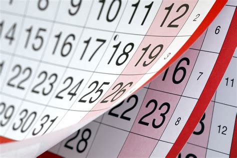 Why are there different types of calendars? - The Petri Dish