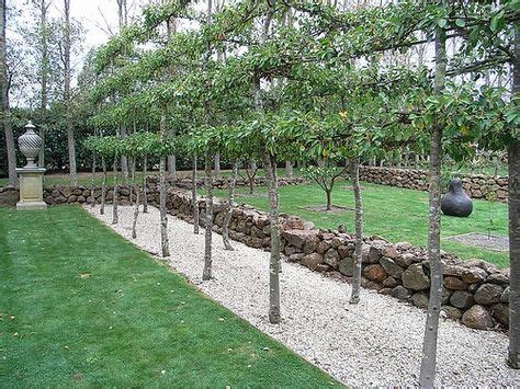 Best fruit trees garden layout raised beds ideas | Garden layout, Fruit garden, Fruit garden layout