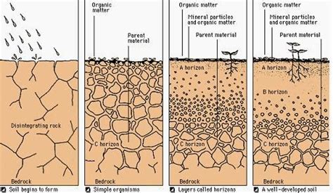 Weathering and Soil