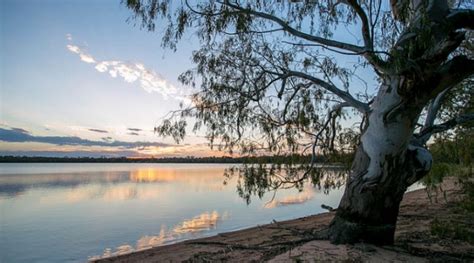 The 13 Best Things to Do in Narrabri - Narrabri Big Sky Caravan Park