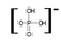 Dihydrogen Phosphate Ion Lewis Structure