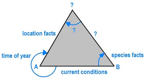 ColoradoCasters: The power of Triangulation