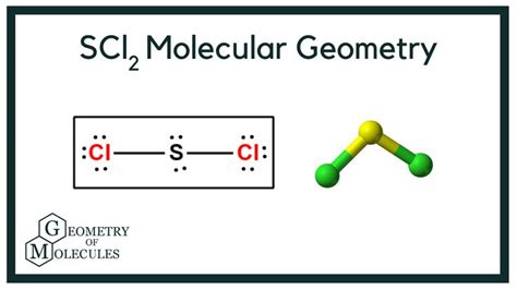 SCl2 Molecular Geometry (Sulfur Dichloride) | Molecular geometry, Molecular, Physical and ...