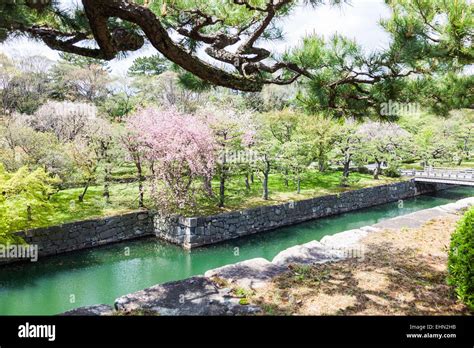 Japanese garden, Kyoto, Japan Stock Photo - Alamy